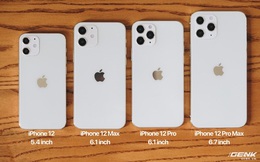 So sánh iPhone 12 5.4 inch với iPhone 4, iPhone 5 và iPhone 6: Chiếc iPhone nhỏ gọn đáng để chờ đợi