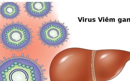 Việt Nam đang nằm trong vùng có tỷ lệ lây nhiễm virus viêm gan cao nhất