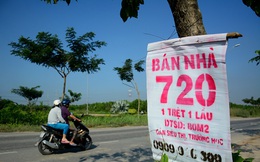 Nhà phố bao giờ hết khổ?