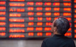 'Con bò' mới trên TTCK Trung Quốc sẽ trụ vững hay sớm sụp đổ?