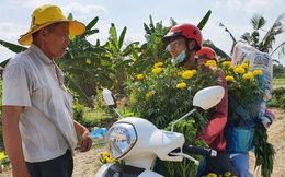 Thương lái "bùng" 3.000 chậu hoa vạn thọ của lão nông Sài Gòn vào 28 Tết, cộng đồng mạng chung tay mua sạch