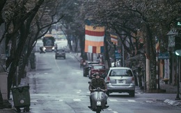 Hà Nội sáng mùng 1 Tết Canh Tý: Sau trận mưa lớn đêm 30, đường phố vắng vẻ như trong cuốn phim cũ nhuốm màu thời gian