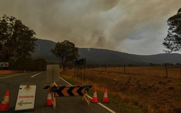 Úc tuyên bố tình trạng khẩn cấp khi cháy rừng đe dọa thủ đô Canberra