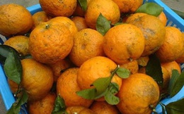 Hoa quả, nước uống giàu vitamin C “cháy hàng” mùa dịch Covid-19
