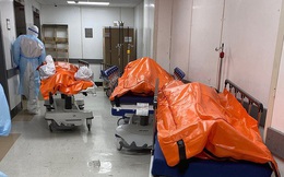Hình ảnh đau thương tại tâm dịch New York: Thi thể nạn nhân COVID-19 "xếp hàng" chật hành lang bệnh viện