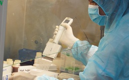Ảnh: Bên trong khu xét nghiệm virus SARS-CoV-2 ở Viện Pasteur TP.HCM