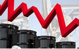 OPEC+ họp khẩn sau khi dầu thô giảm giá kỷ lục