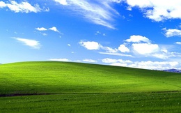 Hình nền huyền thoại trên Windows XP một thời: Được Microsoft trả hơn 100.000 USD vào năm 2000, đến nay vẫn xanh tốt như ngày nào