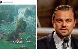 Leonardo DiCaprio chia sẻ hình ảnh vịnh Lan Hạ của Việt Nam trên Instagram, còn kêu gọi mọi người bảo vệ vẻ đẹp của nơi này