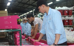 ĐBQH: Dọn tổ đón đại bàng thì cũng nên rắc thóc cho chào mào, chim sẻ