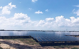 Điện mặt trời: Những câu hỏi để ngỏ về ô nhiễm môi trường