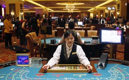 Kinh doanh casino, cá cược: Ngành công nghiệp nhiều tỷ USD đang bỏ ngỏ