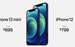 iPhone 12 và iPhone 12 mini ra mắt: Màn hình OLED, nâng cấp camera, A14 mạnh hơn 40%, hỗ trợ 5G, giá từ 699 USD