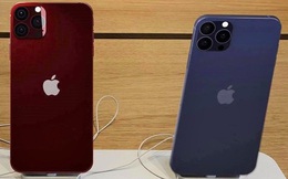 iPhone 12 đầu tiên về Việt Nam như thế nào?
