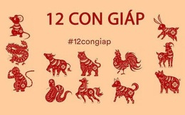 Tử vi tài lộc tháng 9 âm lịch của 12 con giáp: Thân đột phá xuất thần, Sửu xoay vần trong bão, Dậu hứng tai vạ vì thói bốc đồng
