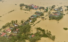World Bank: Mỗi năm thiên tai gây thiệt hại hơn 10 tỷ đô cho Việt Nam, 60% do bão lũ