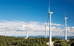 Chủ dự án điện gió hơn 2.000 tỷ vừa được Đắk Lắk đề nghị bổ sung quy hoạch là ai?