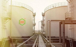 Hóa chất Đức Giang (DGC) tạm ứng cổ tức 15% bằng tiền mặt, đặt mục tiêu lãi 240 tỷ đồng trong quý 4
