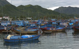 Báo Singapore: Việt Nam thực hiện rất tốt việc thúc đẩy phát triển thủy sản bền vững