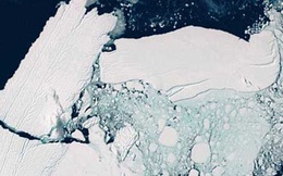 Khoa học cảnh báo rợn người: Thềm băng Nam Cực đang tan chảy, nguy cơ nhấn chìm nhiều quốc gia và không thể phục hồi