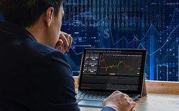 Chung nhịp với khối ngoại, tự doanh CTCK bán ròng gần 1.700 tỷ đồng trong 9 tháng