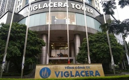 GELEX chào mua thành công 94,61 triệu cổ phiếu VGC, tiến sát mục tiêu sở hữu chi phối Viglacera