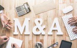 M&A: Nhà đầu tư Việt đang gia tăng mua lại