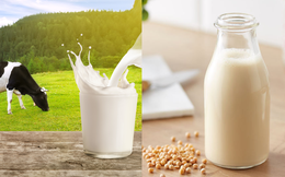 Sữa bò và sữa đậu nành: Đặt lên cân hai loại sữa được ưa chuộng, xem sữa nào nổi trội hơn