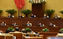 Đưa các tập đoàn lớn làm trụ cột chuỗi giá trị để nền kinh tế 'cất cánh'