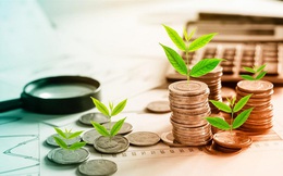 Cuối năm, nhà đầu tư chọn rót vốn vào đâu?