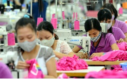 Dệt may khẳng định vị thế, hướng mục tiêu xuất khẩu 55 tỷ USD