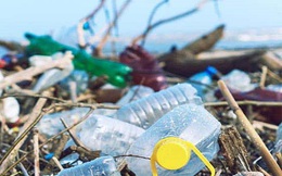 3 nhãn hiệu đứng đầu thế giới về rác thải nhựa: Coca-Cola, Nestle và PepsiCo