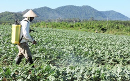 Nếu chỉ được chọn một yếu tố trong chuyển đổi số nông nghiệp Việt Nam, các chuyên gia sẽ chọn gì?