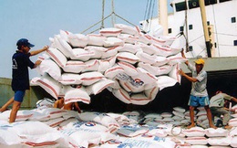 Xuất khẩu gạo của Campuchia tăng vọt sau 7 tháng đầu năm