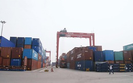 Mỗi năm các cảng biển Việt Nam thất thu 1 tỷ USD phí bốc dỡ container
