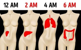 Sáng nào cũng tỉnh giấc vào đúng “khung giờ” này thì chứng tỏ phổi, thận của bạn đang "kêu cứu", cần theo dõi kỹ để tránh biến chứng