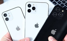 Loạt iPhone đầu tiên về Việt Nam có giá không tưởng