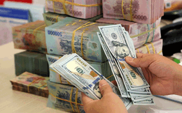 World Bank: Dự trữ ngoại hối tăng thêm 12 tỷ chứng tỏ khả năng phục hồi của nền kinh tế Việt Nam