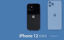 Lộ tên gọi của 4 mẫu iPhone 12 sắp ra mắt: Model nhỏ nhất sẽ có tên là 'iPhone 12 mini'