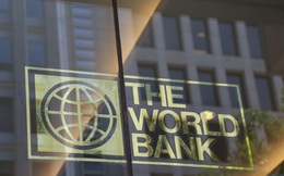 Ngân hàng Thế giới: FDI tháng 8 của Việt Nam dường như tạm ngưng