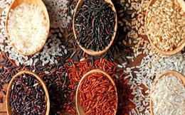 Chuyên gia Ấn Độ khuyên ngâm gạo trước khi nấu cơm: Những lợi ích bất ngờ và cách ngâm gạo đúng