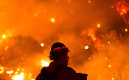 Bão, cháy rừng và Covid-19 - Một năm thảm hoạ đối với nước Mỹ