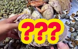 Loại hải sản được cho là ngon hơn cả tôm hùm ở Việt Nam, vì hiếm có khó tìm nên được rao bán với giá “đắt xắt ra miếng”?