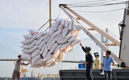 Chính sách nhập khẩu gạo thay đổi, nửa đầu năm 2020 Vinafood II tăng gấp 3 lần mức lỗ lên hơn 160 tỷ đồng