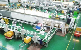 Cải thiện môi trường kinh doanh để phát triển bền vững