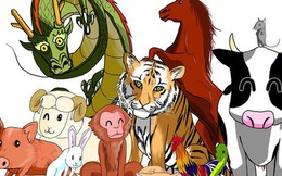 Tử vi tài lộc tháng 12 năm 2020 của 12 con giáp: Tỵ đổi đời, Mão hung vận bao vây, Sửu nguồn thu tăng vọt, Hợi viên mãn tứ bề...