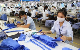 Dệt may TCM lãi 2020 tăng 12%, xây dựng sàn thương mại điện tử bán hàng thời trang