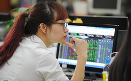 Thị trường bất ngờ giảm sâu, định giá chứng khoán Việt Nam trở nên hấp dẫn