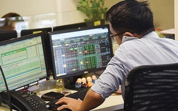 Cổ phiếu chứng khoán tăng gấp 3 so với đáy: Đà tăng có phản ánh đúng lợi nhuận?