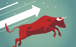 Thị trường thăng hoa ngoài mong đợi, VNDIRECT sửa kịch bản dự báo, cho rằng VN-Index có thể lên tới 1.330 điểm trong năm 2021